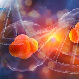 Epigenetic Hair Profiling Consultation